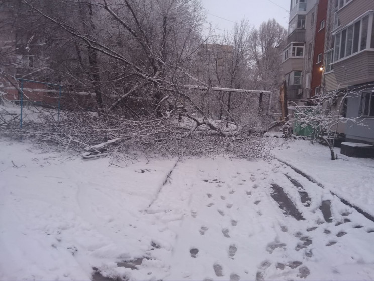 Непогода в Днепре: Поваленные деревья, с…