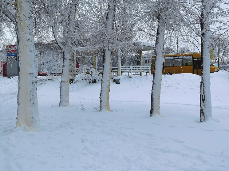 Біолог з Дніпра показав жовтий сніг на п…