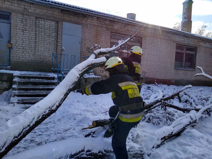 В Днепре дерево упало и перегородило про…