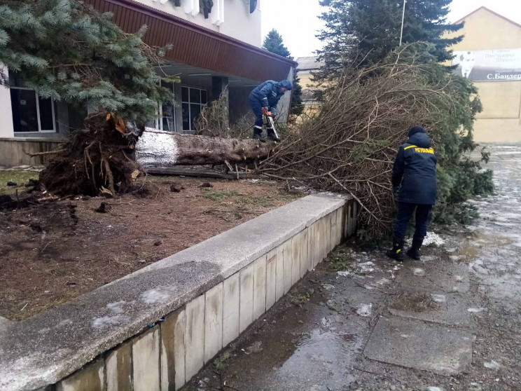 Шквальний вітер наламав дерев в Сколе і…