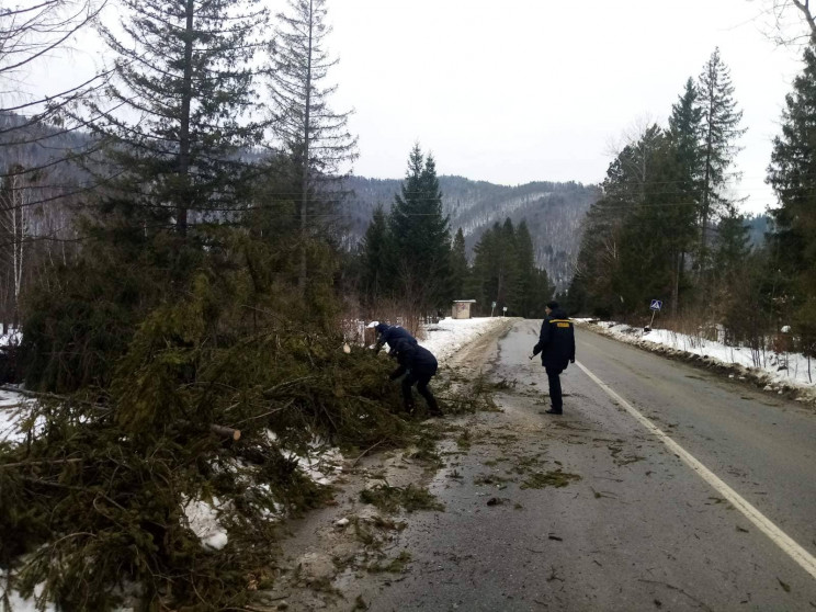 Сильний вітер наробив біди у Cколівськом…