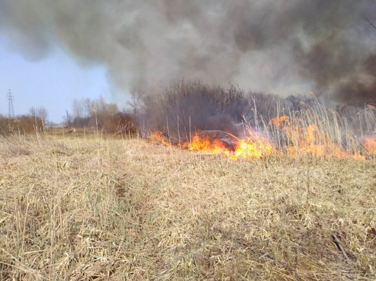 Палії не вгамовуються: На Полтавщині про…