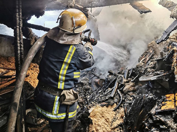 У Миколаєві вогнеборці рятували житлові…