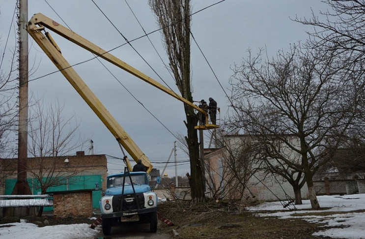 В Кропивницком будут пилить ветки по-нов…