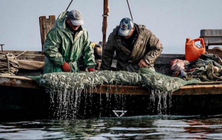 Захоплення українських рибалок на Азові:…