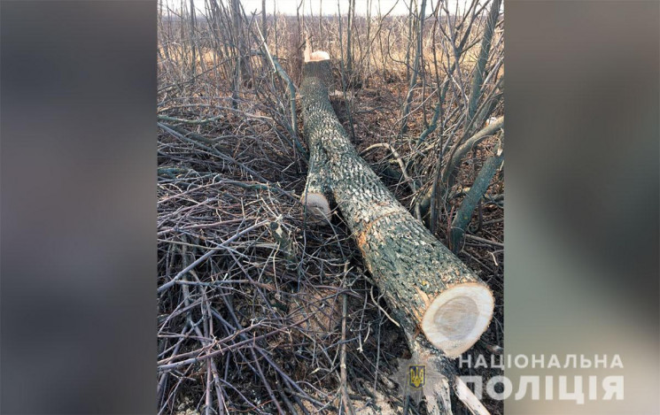 На Полтавщине "на горячем" задержали бра…