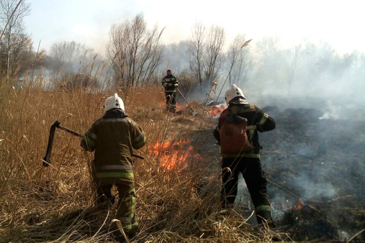 Пожежі не вщухають: Впродовж доби на Пол…