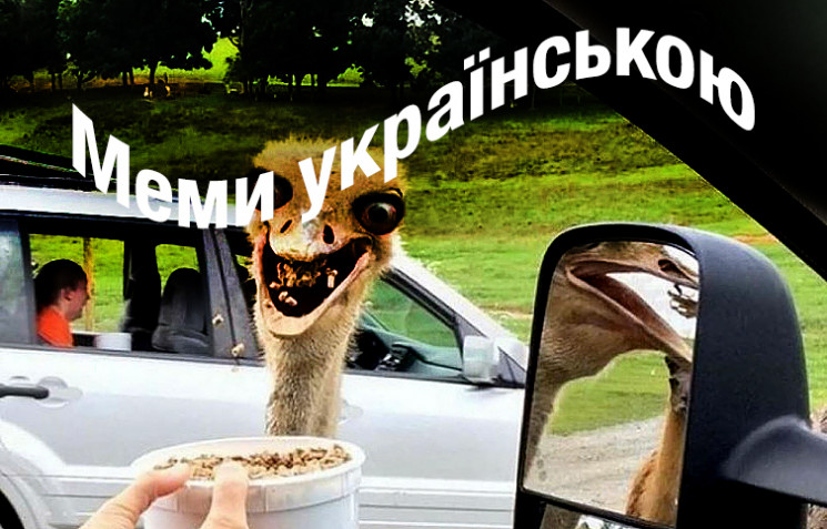 Мемы на украинском: Над чем украинцы сме…