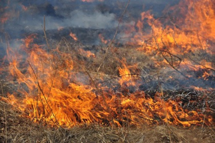 На Тячевщине произошел пожар в экосистем…