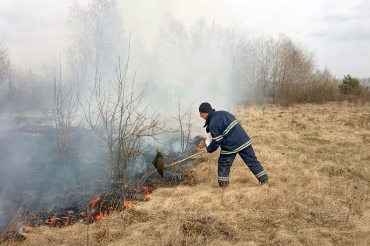 Зовсім не по-зимовому: На Хмельниччині п…