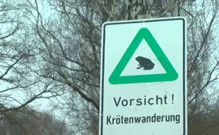 Такси для жаб: Как в Германии заботятся…