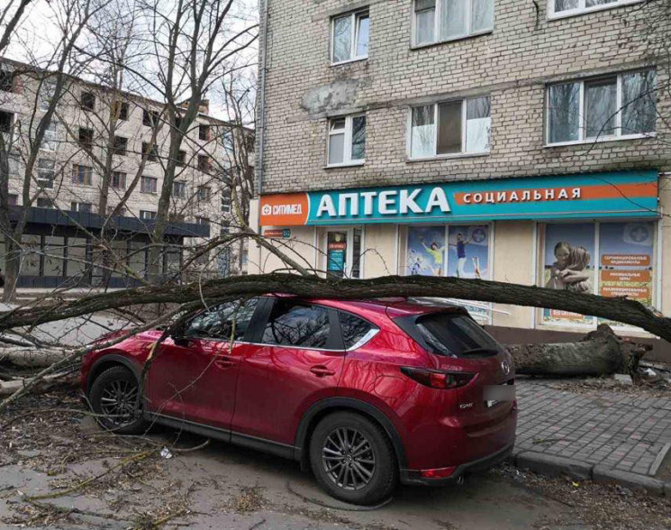 На Николаевщине непогода наделала бед: Б…