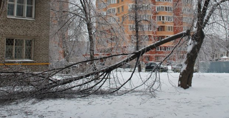 В Харькове штормовой ветер сломал 13 дер…