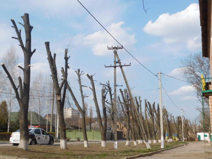 Біля школи №32 в Кропивницькому до стовб…