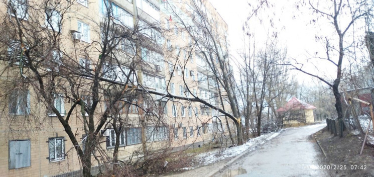 Ураган в "ДНР": Повалены деревья и разби…