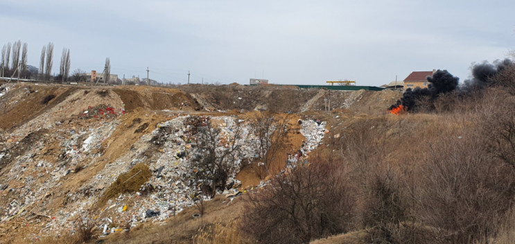 В Кропивницком просят ликвидировать стих…