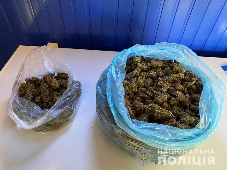 На Днепропетровщине служебная собака наш…