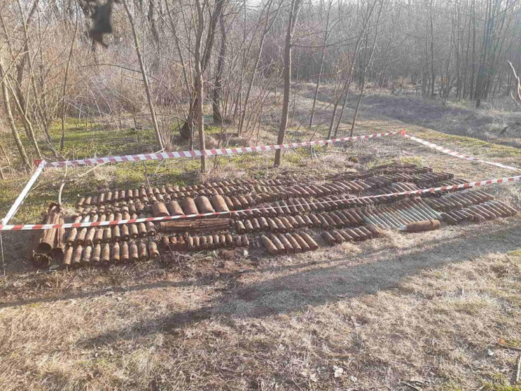 На Одесчине во время прогулки в лесу муж…