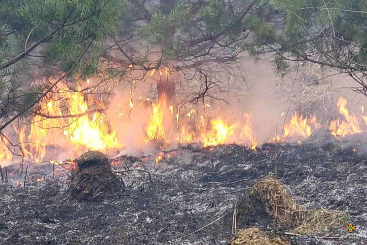 На Тернопільщині через палаючу траву лед…