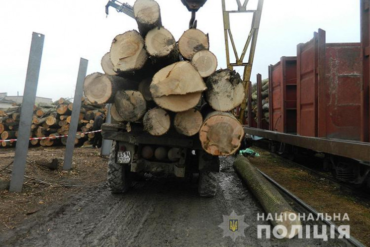 Дерев'яна колода вбила водія на Тернопіл…