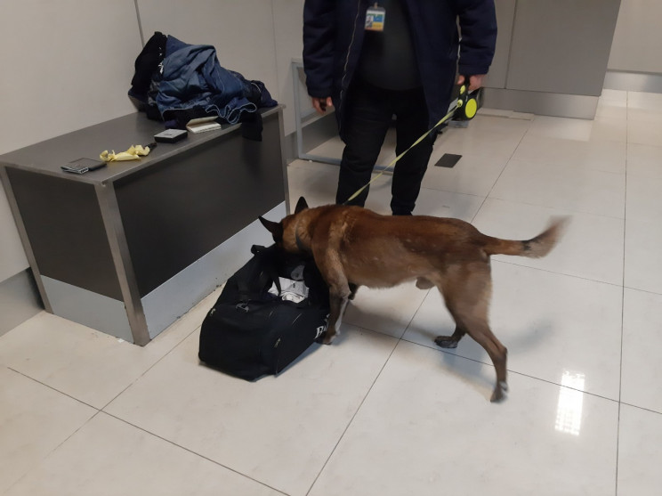 У харківському аеропорту службовий пес "…