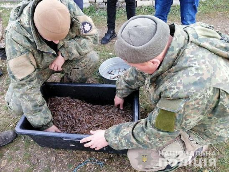 На Херсонщині браконьєр виловив понад 12…