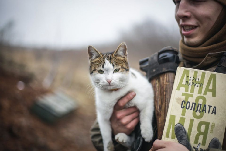 За що котам в ООС треба поставити пам'ят…