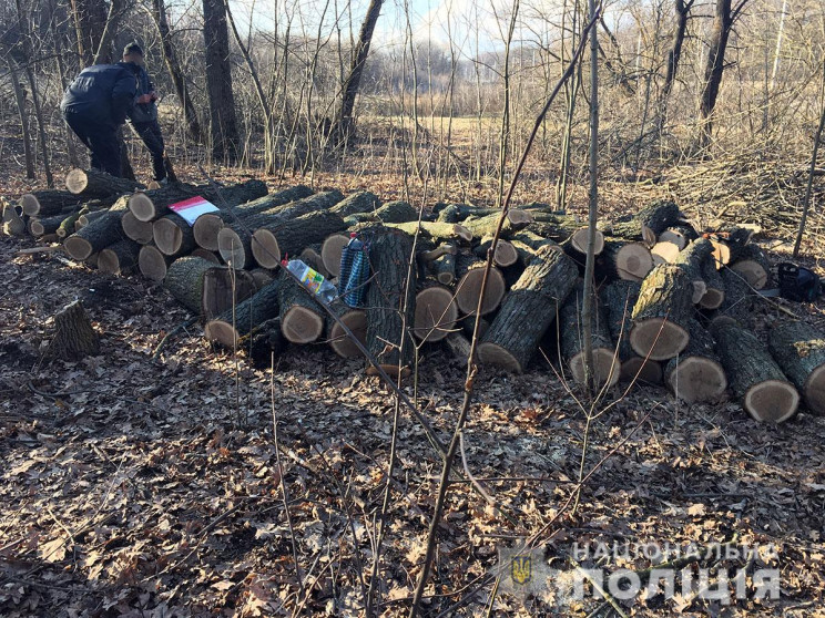 Поліція Полтавщини затримала ще одного "…