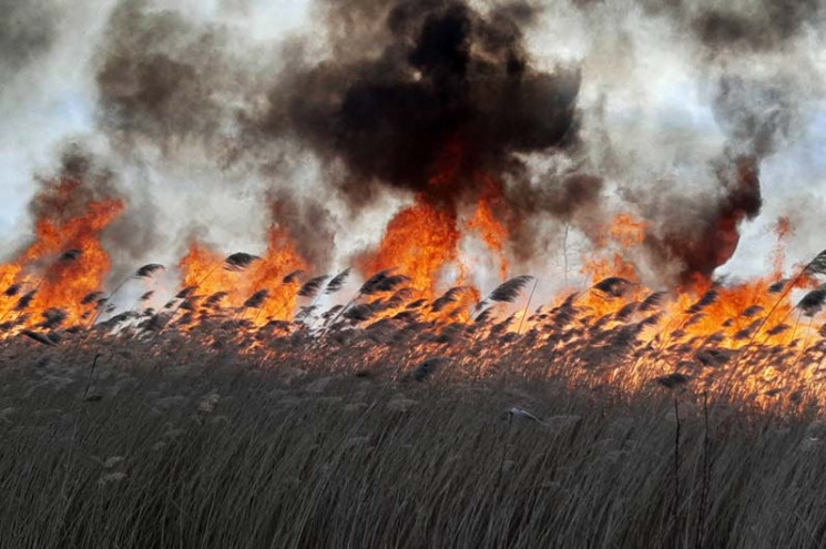 Днепропетровщина в огне: Горела трава, л…