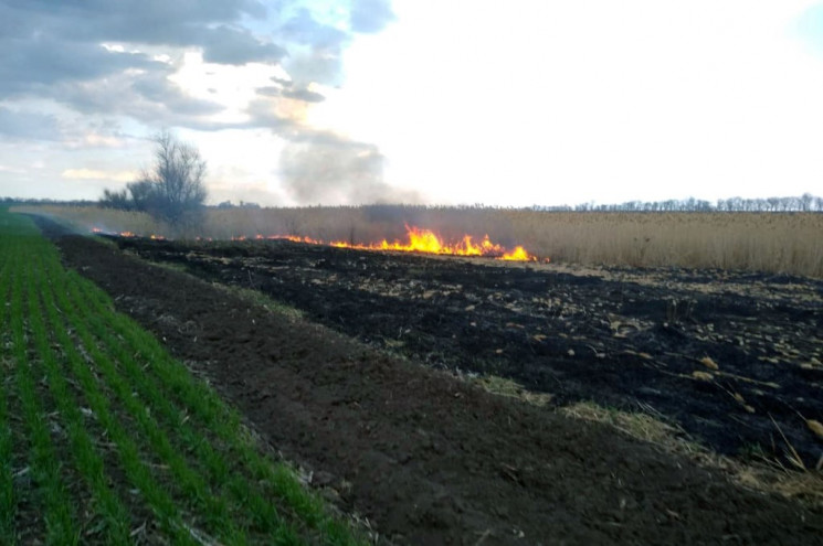 На Дніпропетровщині підпалили суху траву…