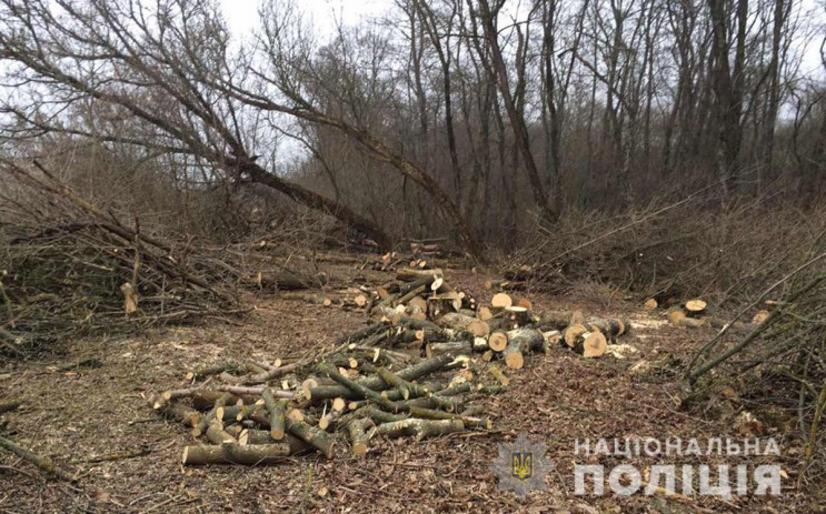 На Полтавщині поліція затримала банду "ч…