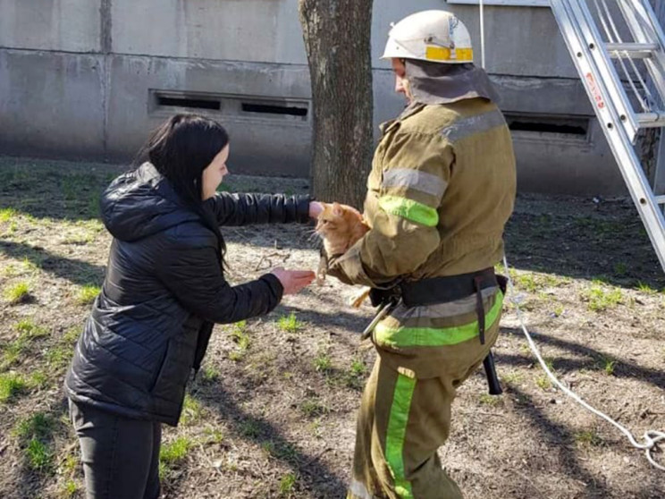Як на Дніпропетровщині пожежні рятували…