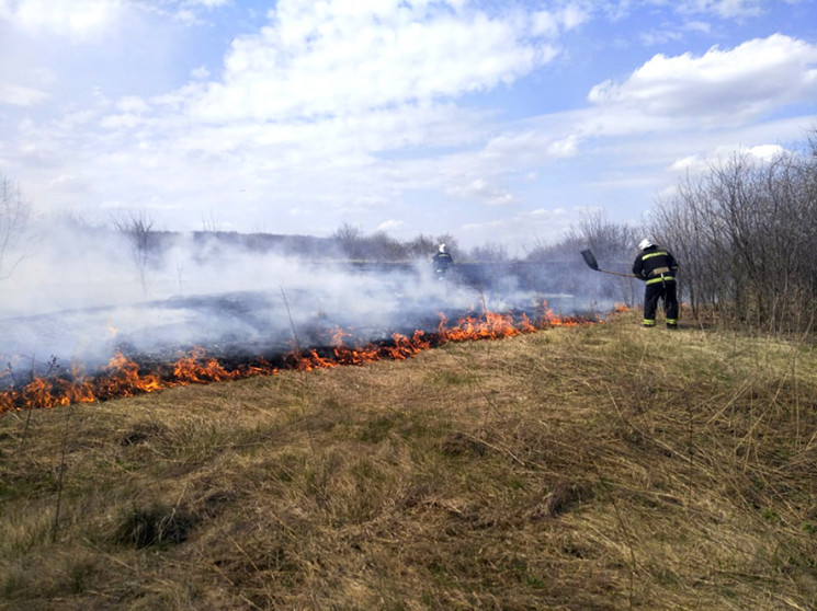 Пожежі не вщухають: На Полтавщині 10 кві…