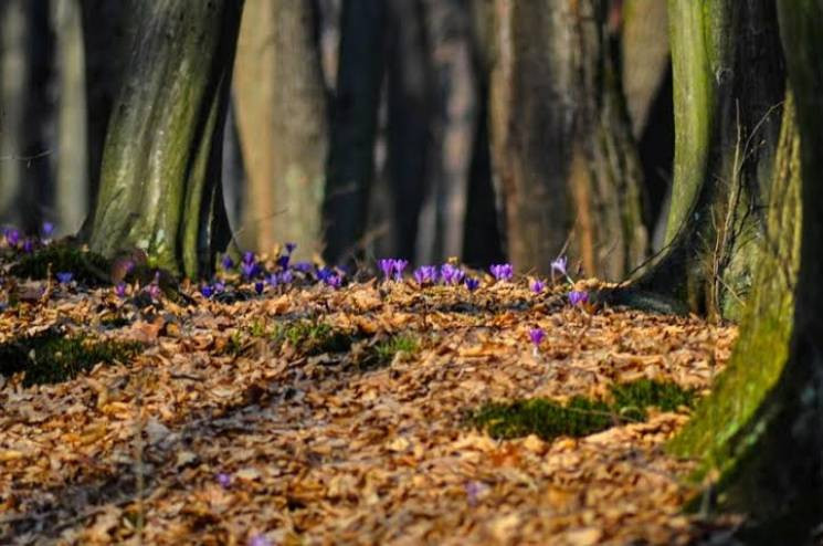 Прикмети 13 квітня: Для чого цього дня п…