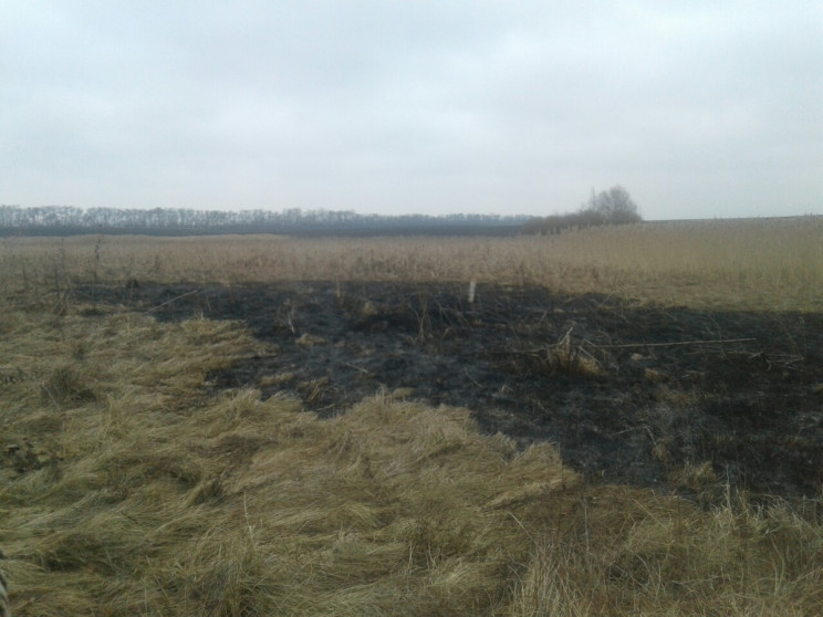 В Липовецком районе горел камыш…