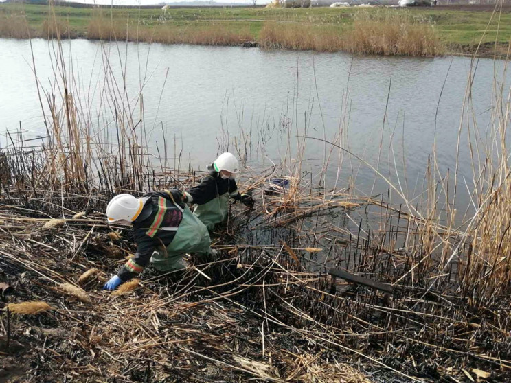 В городе на Днепропетровщине спасатели в…