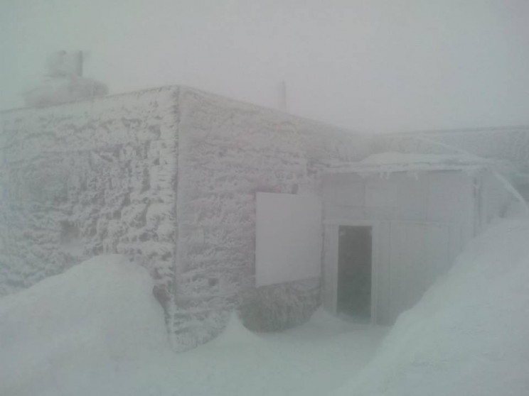Гору Поп Иван в Карпатах замело снегом…