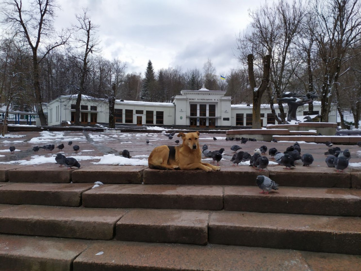 Як Трускавець засипало снігом навесні (Ф…