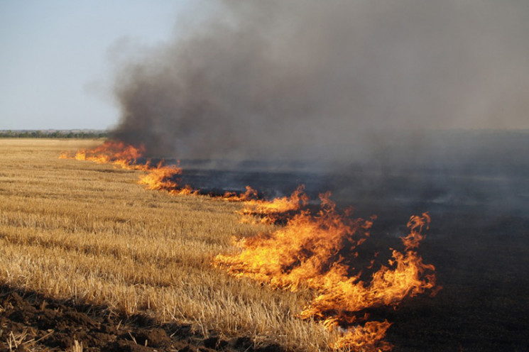Вогнеборці ліквідували 23 пожежі сухої т…