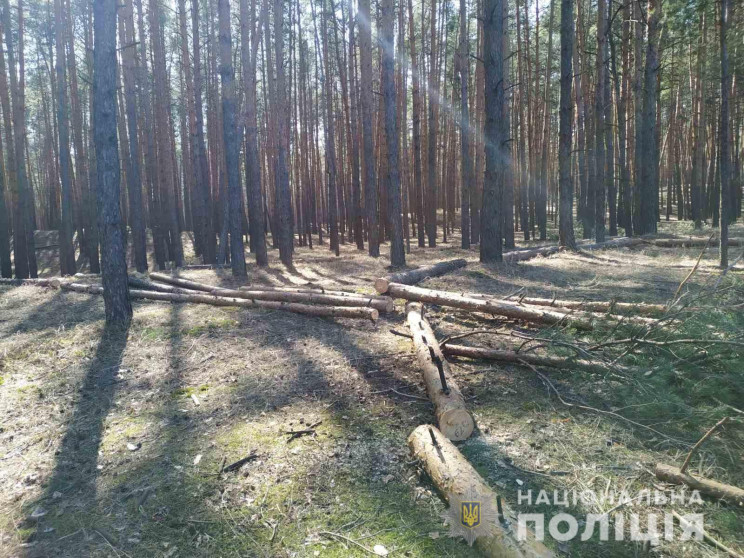 В лесу на Харьковщине поймали браконьера…