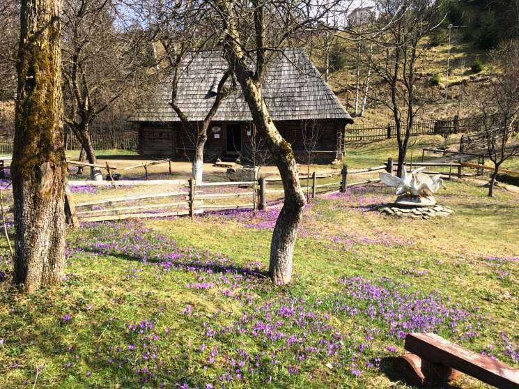 Кого 15 квітня треба прогнати від дому,…