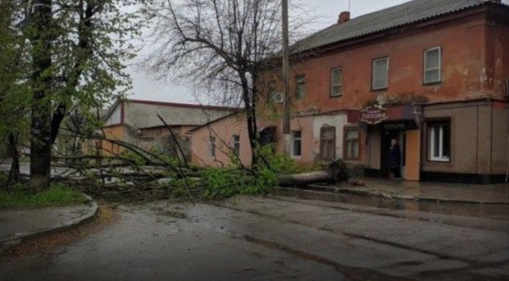 У середмісті Херсона дерево впало на дор…