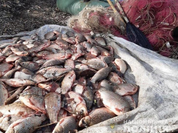 На Полтавщині поліція затримала рибалку-…