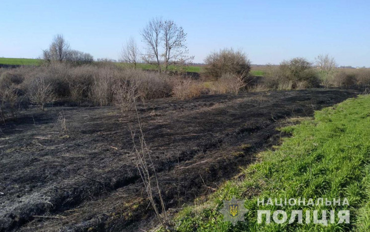 Поліція Полтавщини затримала палія сухос…