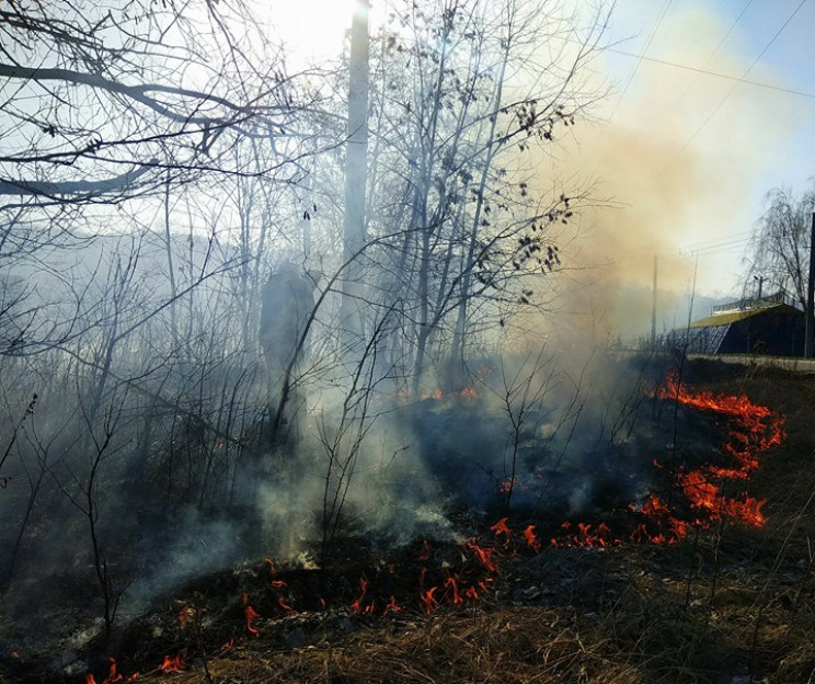 В результате масштабных пожаров на Полта…