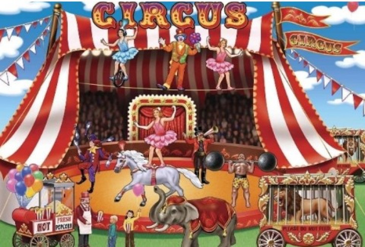 Міжнародний день цирку: Яскраві відео та…