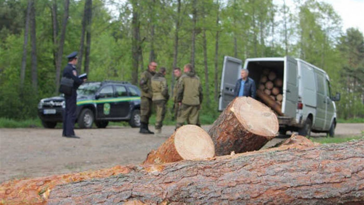 На Кропивниччині судитимуть "чорного ліс…