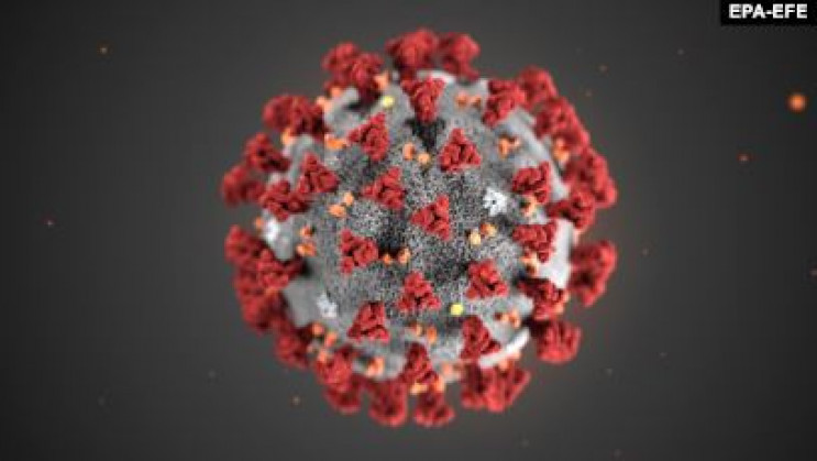Україні прогнозують пік коронавірусу най…
