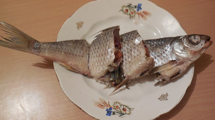 В’ялена риба поклала запоріжця в реаніма…
