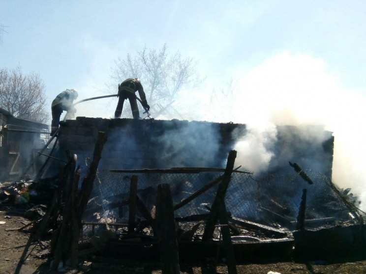 На Запоріжжі на приватному подвір'ї вщен…